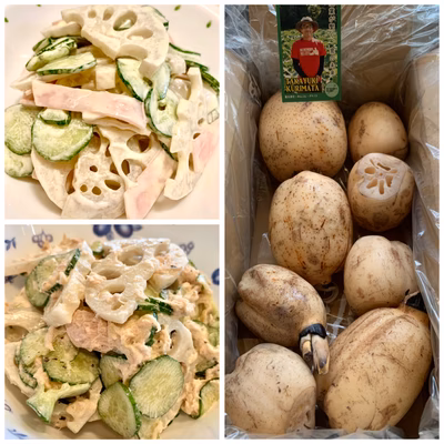 みんなの投稿の画像