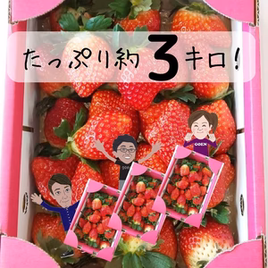 贅沢な時間♡たっぷり【約3kg】イチゴ♡