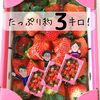 贅沢な時間♡たっぷり【約3kg】イチゴ♡