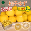 【残りわずか】大分県宇佐市産 柚子（ユズ）【お徳用】約5kg