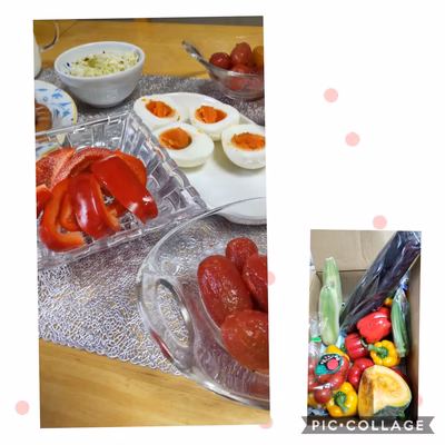 みんなの投稿の画像