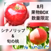【信州 夢のワクワク便♪】　園主一押し旬の果物BOX♪[8月]