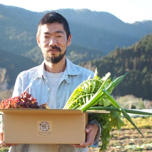 本物のオーガニック！【必ず10品】京都大原の棚田で育てた露地有機JAS野菜