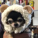 ミササン