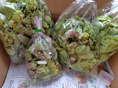 みんなの投稿の画像