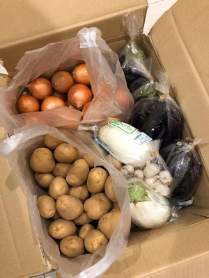 みんなの投稿の画像