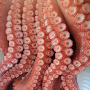 獲れたてボイル水だこ足4本　1kg未満