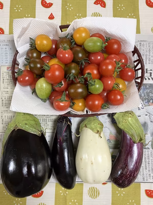 みんなの投稿の画像