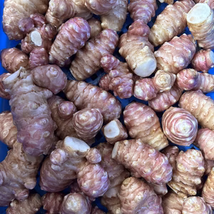 トピナンブール / topinambour