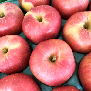 小玉りんご/姫神（ひめかみ）