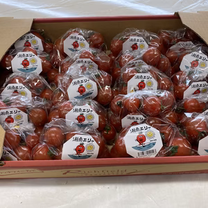湘南エリー　ミニトマト　3kg(150g20パック入)