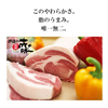 伊達の純粋赤豚カタロースブロック（冷凍・真空）