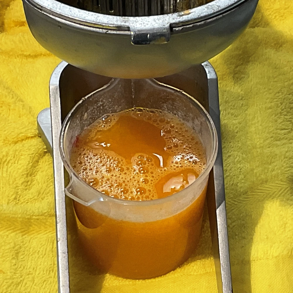 みかんB級無農薬　自然肥料除草剤不使用家庭用　わけあり