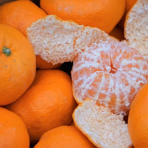 「越冬温州みかん」　訳あり大玉　　5ｋｇ　