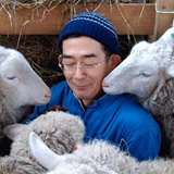 山本 知史 | 石狩ひつじ牧場