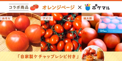 【オレンジページ×ポケマル】コラボ商品👩‍🌾👩‍🍳トマトを味わい尽くす「自家製トマトケチャップレシピ動画つき」トマト商品について🍅
