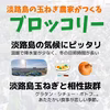 茎までおいしい！淡路島産ブロッコリー5～6株