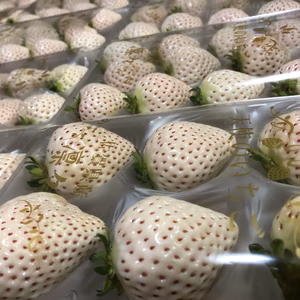 天使のいちご（240g×2）4セット