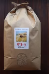 農薬肥料不使用・天日乾燥のお米「かをりりくう」玄米 5kg