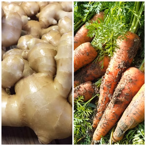 生姜と人参セット【農薬・化学肥料 不使用】