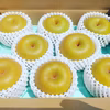 【PREMIUM】旬の梨!!発送時期に合わせ朝採れた最高の品をお届け