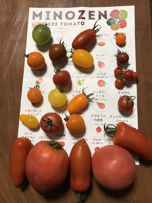 みんなの投稿の画像