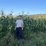 藤井卓也