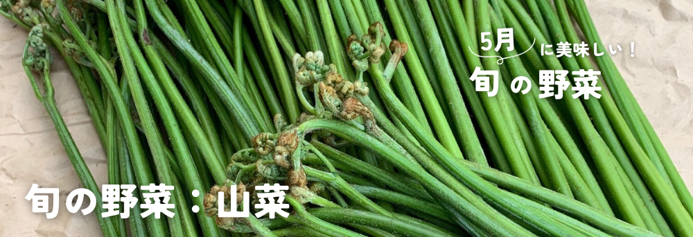 5月に旬の山菜