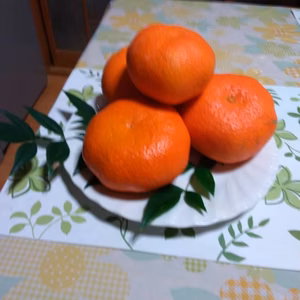 甘平かんぺい～プリプリ食感 4箱限定〜（4kg 家庭用）