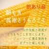 ※訳あり　とうもろこし【10本　約4.0kg】