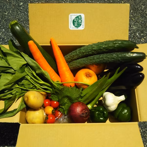 旬の野菜セット
