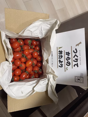 みんなの投稿の画像