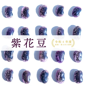 【送料込】ご自宅用にお得な不揃い「紫花豆」200gです！