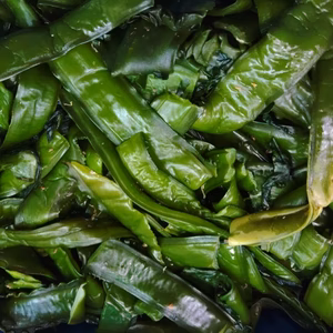 50％OFF中 訳あり茎だけのワカメ　塩蔵わかめ 塩蔵ワカメ 2ｋｇ～10ｋｇ