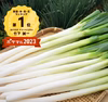 【野菜の福袋】✅至福の極甘ネギ✨10%量❗⭕️＜北海道九州四国沖縄のお客様用＞