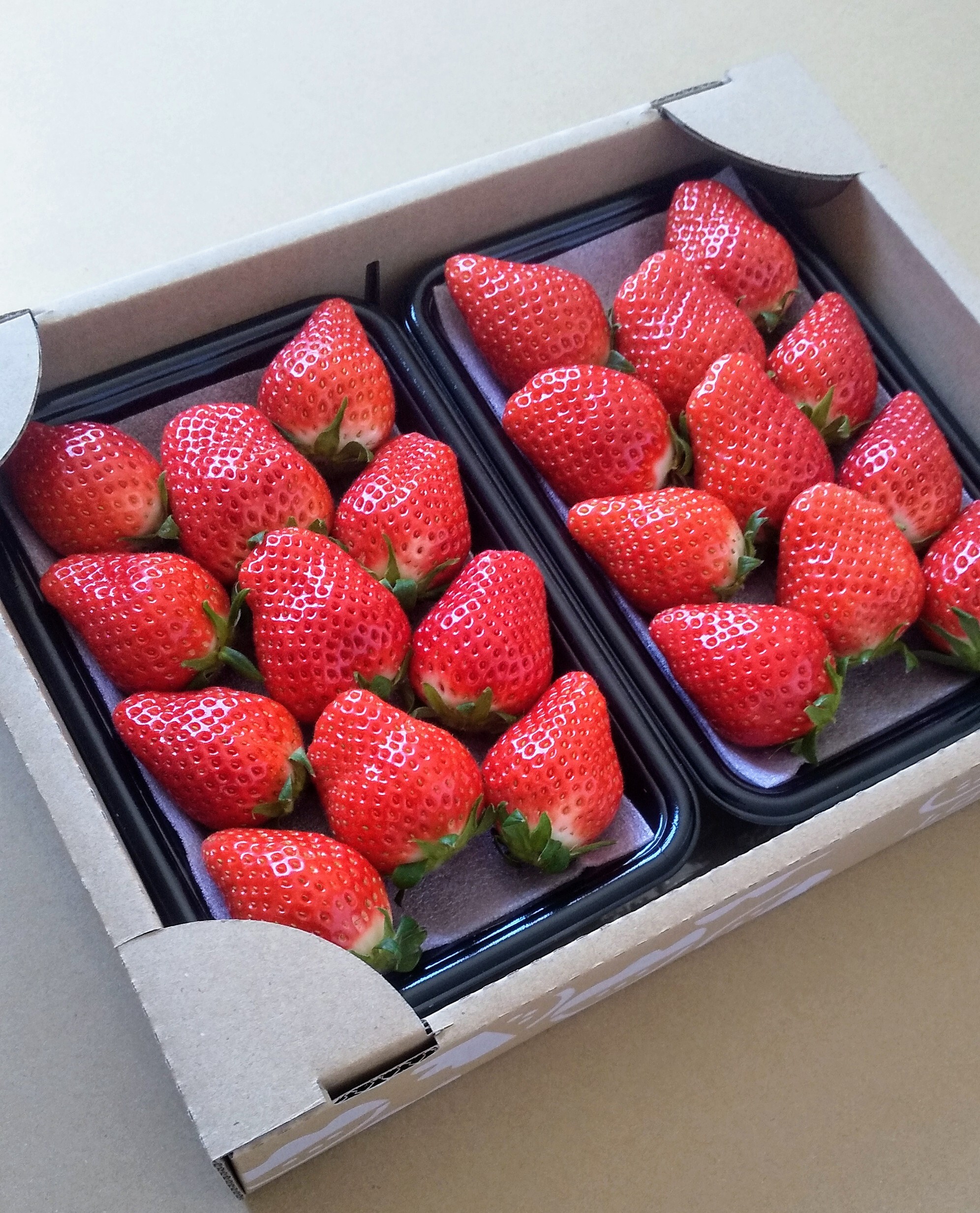 いちご‪☆  タイムカプセル1面 Amazon.co.jp: ヤクルト いちご・オ・レ 250ml紙パック×24本入 : 食品