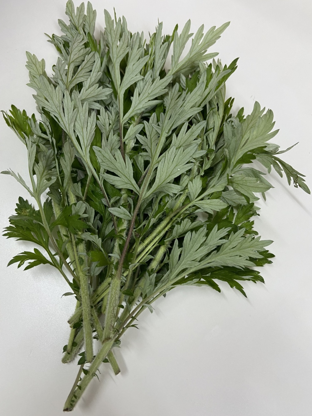 乾燥よもぎ 無農薬 2kg よもぎ蒸し よもぎ風呂 入浴剤 国産