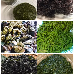 1回食べてみらんね！欲張りセット〜1度食べたらやめられない噂の…〜