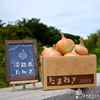 淡路島産たまねぎといえばコレ『中生たまねぎターザン』