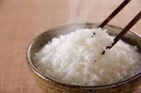 ★令和4年産新米★あひるが育てた有機栽培米コシヒカリ「あひる」(5kg)