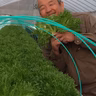 桑原大喜