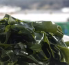 茎わかめ　関わかめの茎