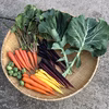 彩りと甘さが際立つ　生でも煮ても美味い人参