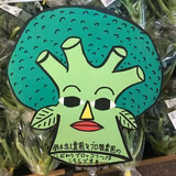 鈴木雅智 | ブロ雅農園