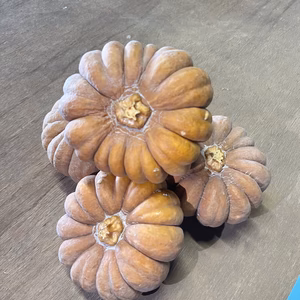 農薬・化学肥料不使用 完熟 神田小菊(日本カボチャ)