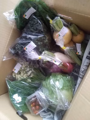 みんなの投稿の画像