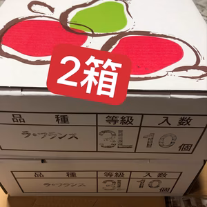 希少！山形県産西洋梨　ゴールド・ラフランス　3k g ✖️２箱セット  贈答品