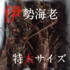美味！！奄美大島産【伊勢海老特大サイズ】