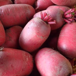 【お買い得！】中まで真っ赤な有機紅くるり大根２キロ