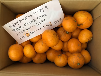 みんなの投稿の画像